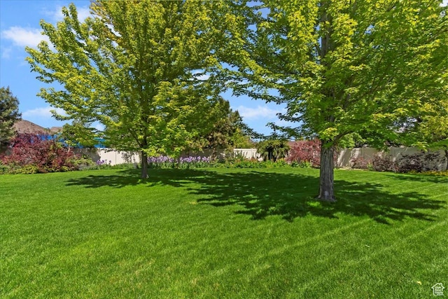 5264 S 6150 W, Hooper, UT 84315 - view of yard