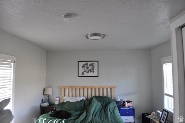 331 E Hampton Ave S, Salt Lake City, UT 84111 - bedroom with a textured ceiling