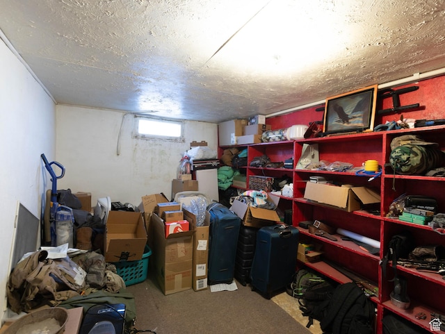 97 N 400 W, Aurora, UT 84620 - view of storage