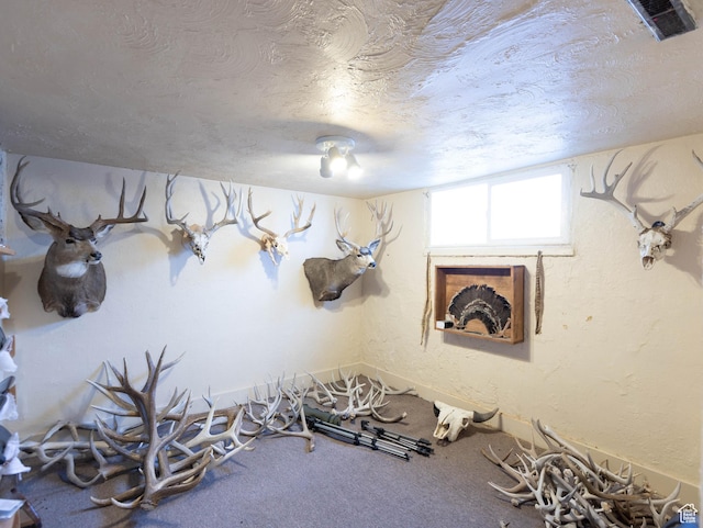 97 N 400 W, Aurora, UT 84620 - workout room featuring carpet and a textured ceiling
