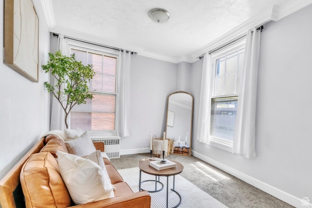 29 S State St Unit 216, Salt Lake City, UT 84111 - living area featuring radiator, ornamental molding, carpet floors, and baseboards
