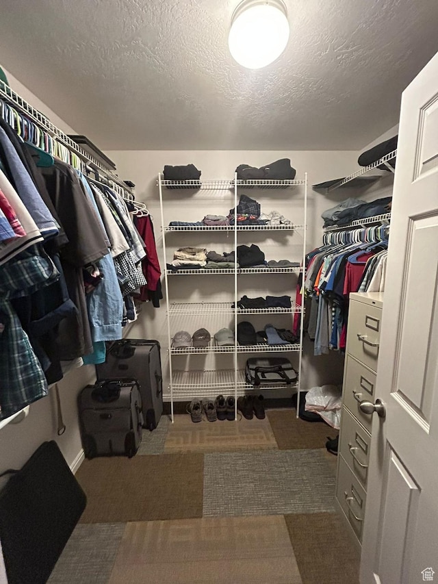 3878 W Sage Willow Dr, South Jordan, UT 84009 - view of spacious closet