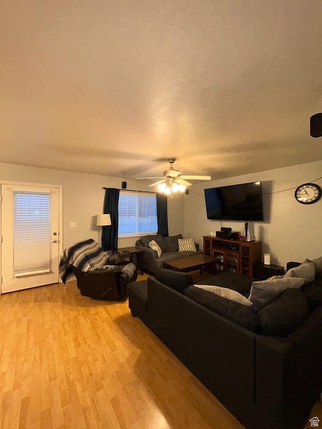 3878 W Sage Willow Dr, South Jordan, UT 84009 - living room with light wood-type flooring and a ceiling fan