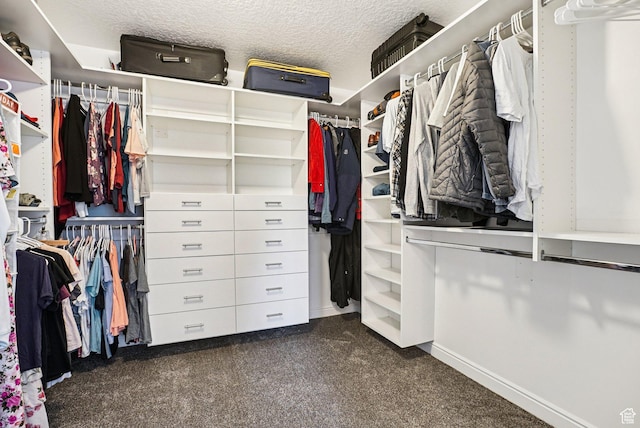 13326 S Rochdale Ln W, Herriman, UT 84096 - spacious closet with dark carpet