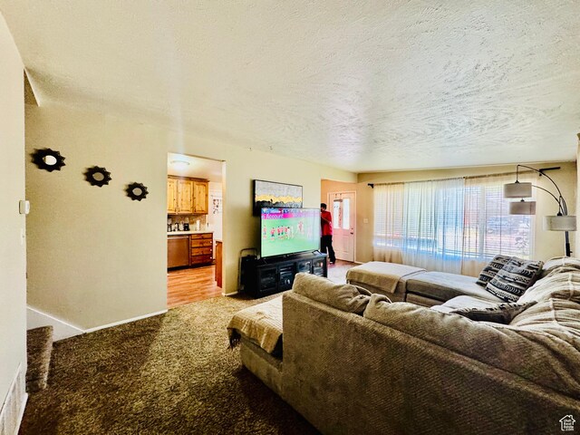 2557 W 5725 S, Roy, UT 84067 - living area with light colored carpet and a textured ceiling
