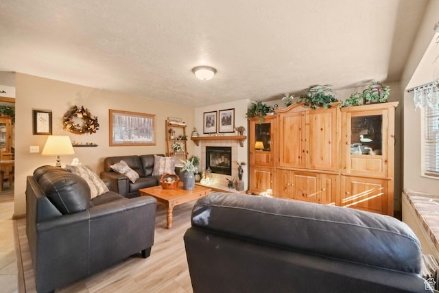 1262 W Dusty Downs Cir S, Jordan, UT 84095 - living room with light wood finished floors and a tile fireplace