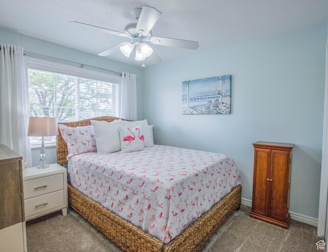675 S 30 E, Ephraim, UT 84627 - carpeted bedroom with ceiling fan