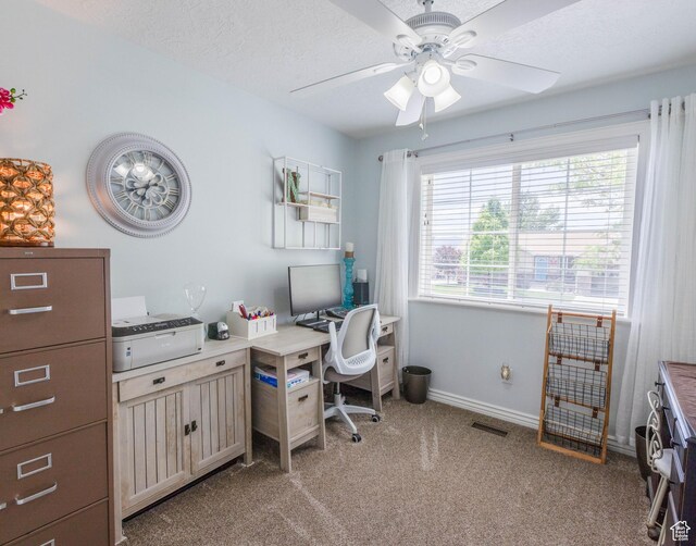 675 S 30 E, Ephraim, UT 84627 - office featuring ceiling fan, light carpet, and baseboards