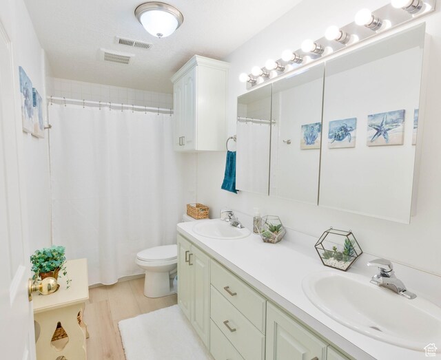 675 S 30 E, Ephraim, UT 84627 - bathroom with double vanity, toilet, wood finished floors, and a shower with curtain