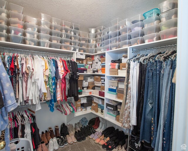 675 S 30 E, Ephraim, UT 84627 - spacious closet featuring carpet