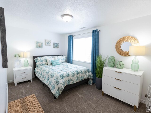 675 S 30 E, Ephraim, UT 84627 - bedroom featuring dark colored carpet and a textured ceiling