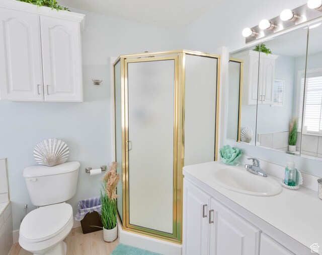 675 S 30 E, Ephraim, UT 84627 - full bathroom featuring vanity, a shower stall, toilet, and wood finished floors