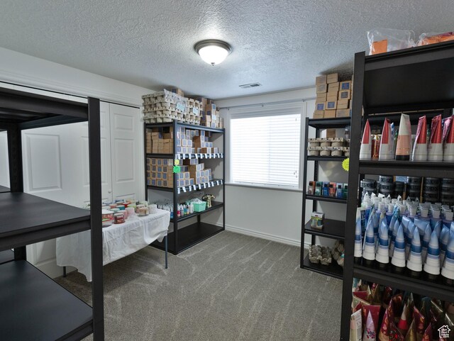 675 S 30 E, Ephraim, UT 84627 - bedroom featuring carpet floors, a textured ceiling, and baseboards