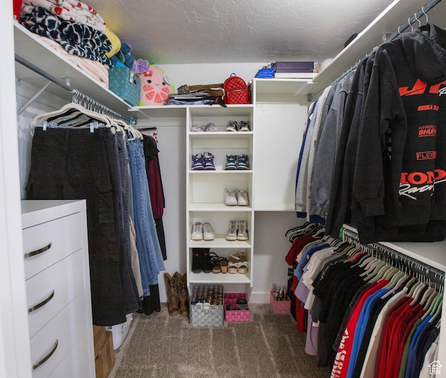 675 S 30 E, Ephraim, UT 84627 - spacious closet featuring carpet flooring