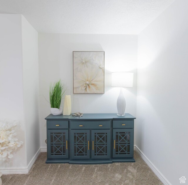 675 S 30 E, Ephraim, UT 84627 - detailed view of carpet floors and baseboards