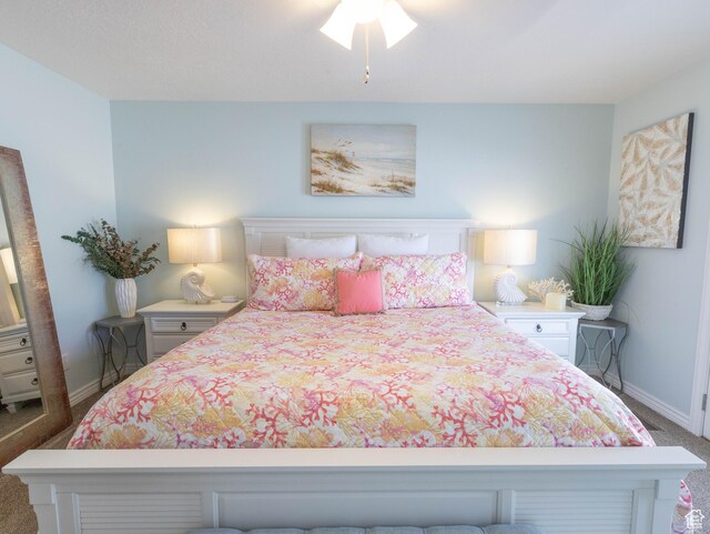 675 S 30 E, Ephraim, UT 84627 - bedroom featuring baseboards and carpet floors