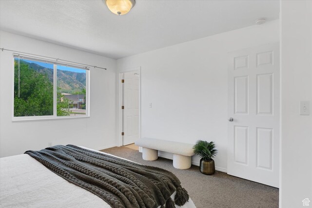 348 N Bluff St, Providence, UT 84332 - photo 11