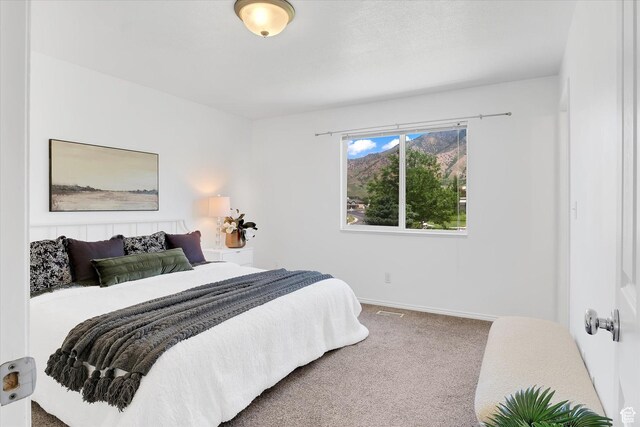 348 N Bluff St, Providence, UT 84332 - photo 9