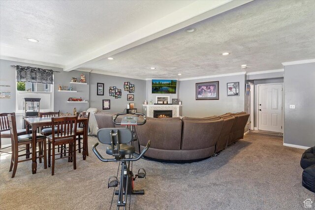 298 W 1775 N, Harrisville, UT 84414 - carpeted living area with recessed lighting, a warm lit fireplace, ornamental molding, and a textured ceiling
