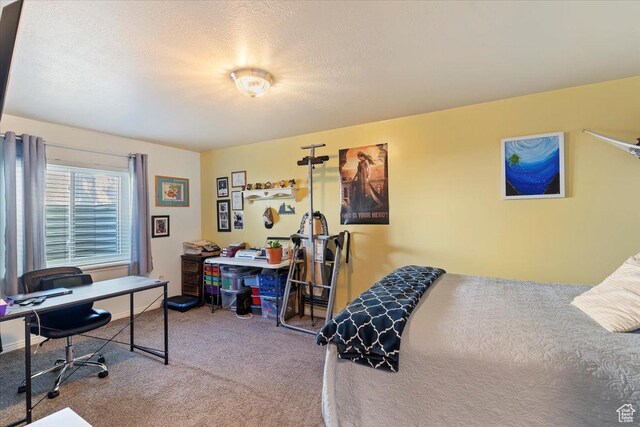 298 W 1775 N, Harrisville, UT 84414 - bedroom featuring carpet flooring, a desk, and a textured ceiling