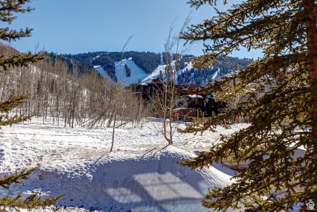 2900 Deer Valley Dr E Unit E211, Deer Valley, UT 84060 - view of mountain backdrop