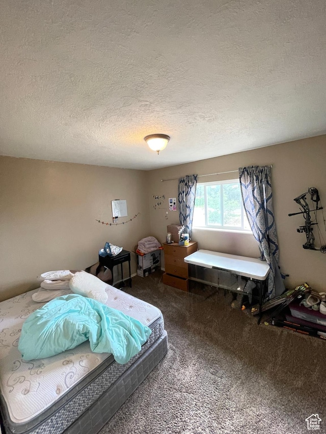 3301 S 1500 E, Vernal, UT 84078 - carpeted bedroom featuring a textured ceiling