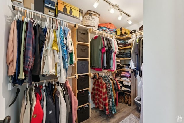 8086 N Meadowview Dr, Snyderville, UT 84098 - walk in closet with wood finished floors