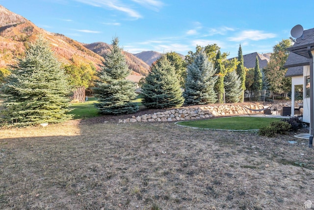 1110 S Woodland Hills Dr, Woodland Hills, UT 84653 - view of green lawn featuring a mountain view