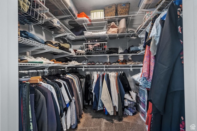 1146 S 2880 E, Spanish Fork, UT 84660 - walk in closet with carpet floors