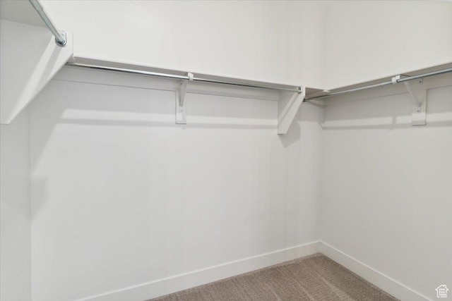5936 N Angels Landing Dr, Mountain Green, UT 84050 - walk in closet with carpet floors