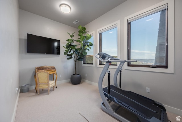 1136 E Black Hawk Way, Hideout, UT 84036 - workout area featuring carpet flooring and baseboards