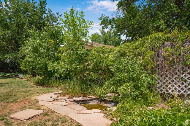 1098 N 1900 W, St George, UT 84770 - view of green lawn