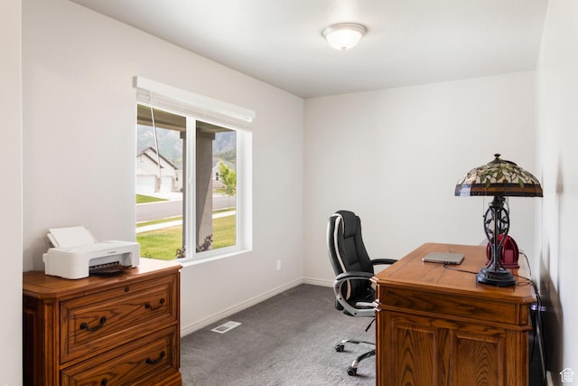 1788 S Longview Rd Unit 161, Santaquin, UT 84655 - office area with carpet flooring and baseboards