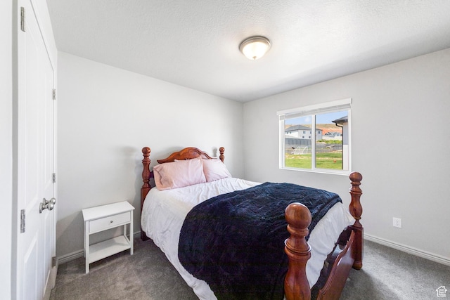 1788 S Longview Rd Unit 161, Santaquin, UT 84655 - bedroom featuring carpet floors and baseboards