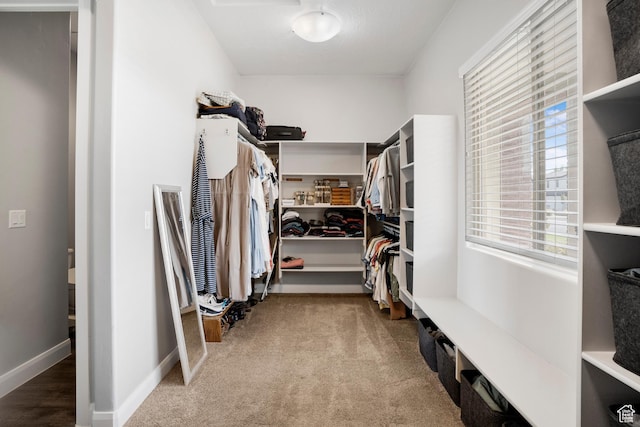 2699 S 2000 E, St George, UT 84790 - spacious closet featuring carpet floors