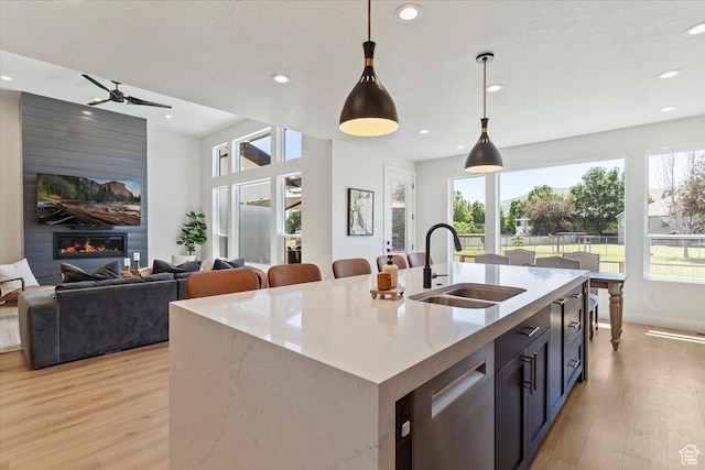 407 W 275 N, Morgan, UT 84050 - kitchen with a sink, light wood-style floors, stainless steel dishwasher, open floor plan, and recessed lighting