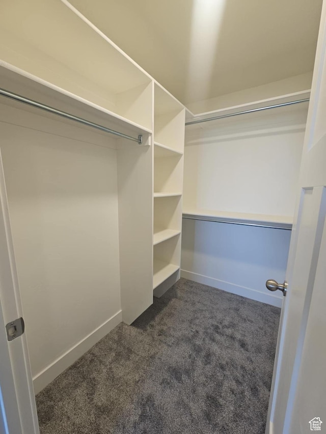 1192 W 1130 S Unit 202, Payson, UT 84651 - spacious closet with dark carpet