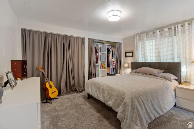 408 E 850 N, Brigham City, UT 84302 - bedroom with carpet flooring and a closet