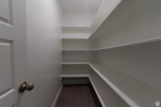 11228 S Old Bridge Rd W, South Jordan, UT 84009 - view of storage area