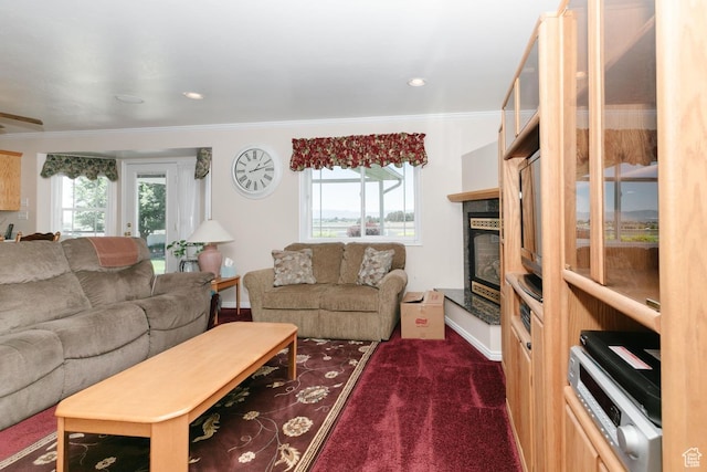 831 S 1150 E, Preston, ID 83263 - living area featuring ornamental molding, a glass covered fireplace, and carpet