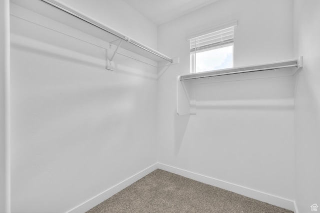 1895 S 530 W Unit 1193, Provo, UT 84601 - spacious closet with carpet floors