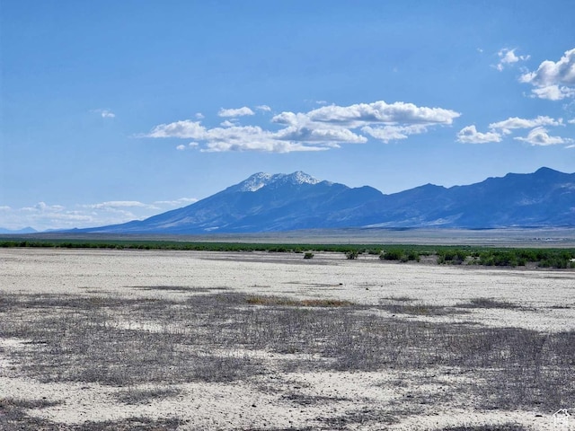 Pilot Mountain Rd, Grouse Creek, UT 84313