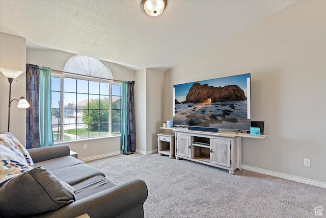2373 S 2830 W, Syracuse, UT 84075 - living room with carpet, baseboards, vaulted ceiling, and a textured ceiling