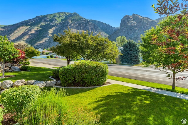 849 N 400 E, Springville, UT 84663 - view of mountain background