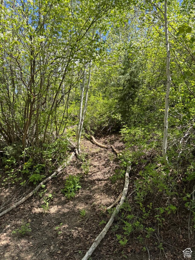 120 S Pine Dr Unit 34, Huntsville, UT 84317