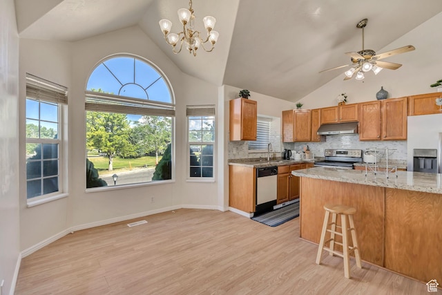 4564 S Early Duke St, West Valley City, UT 84120 - kitchen featuring stainless steel appliances, under cabinet range hood, a sink, light wood-type flooring, and decorative backsplash