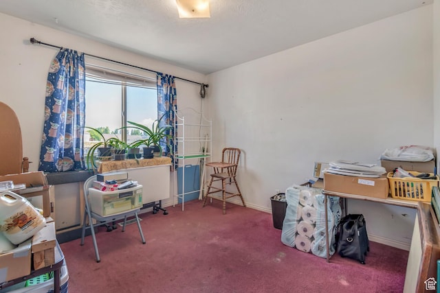 2172 White Pine Rd, Eagle Mountain, UT 84005 - carpeted office with baseboards