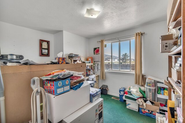 2172 White Pine Rd, Eagle Mountain, UT 84005 - recreation room with carpet flooring and a textured ceiling