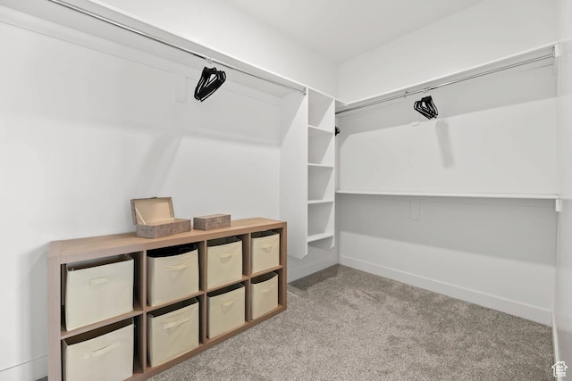 9447 N Arrowhead Dr, Eagle Mountain, UT 84005 - walk in closet featuring carpet flooring