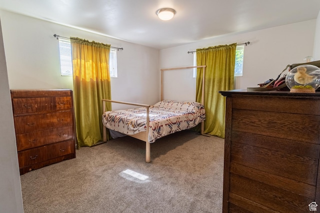 636 N 200 W, Clearfield, UT 84015 - view of carpeted bedroom